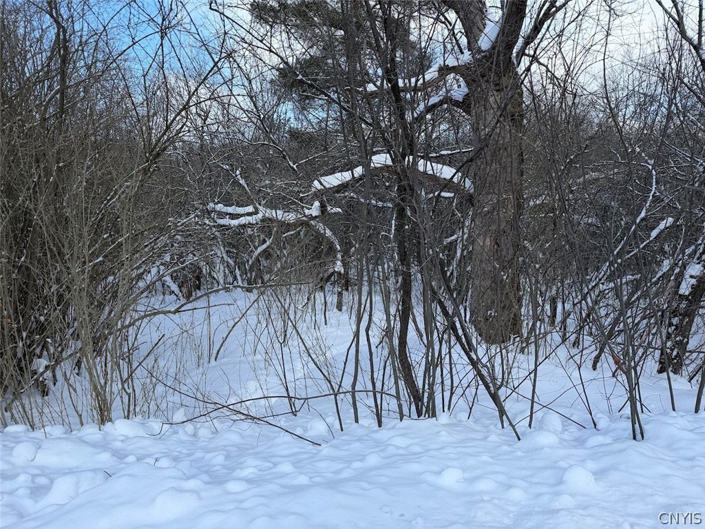 Cemetery Hill Road Franklinville, NY 14737 - Photo 7 of 35