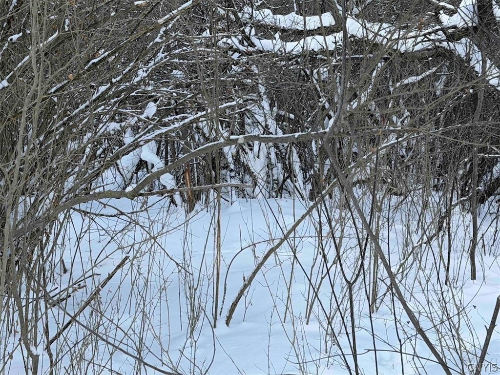 Cemetery Hill Road Franklinville, NY 14737 - Photo 8 of 35