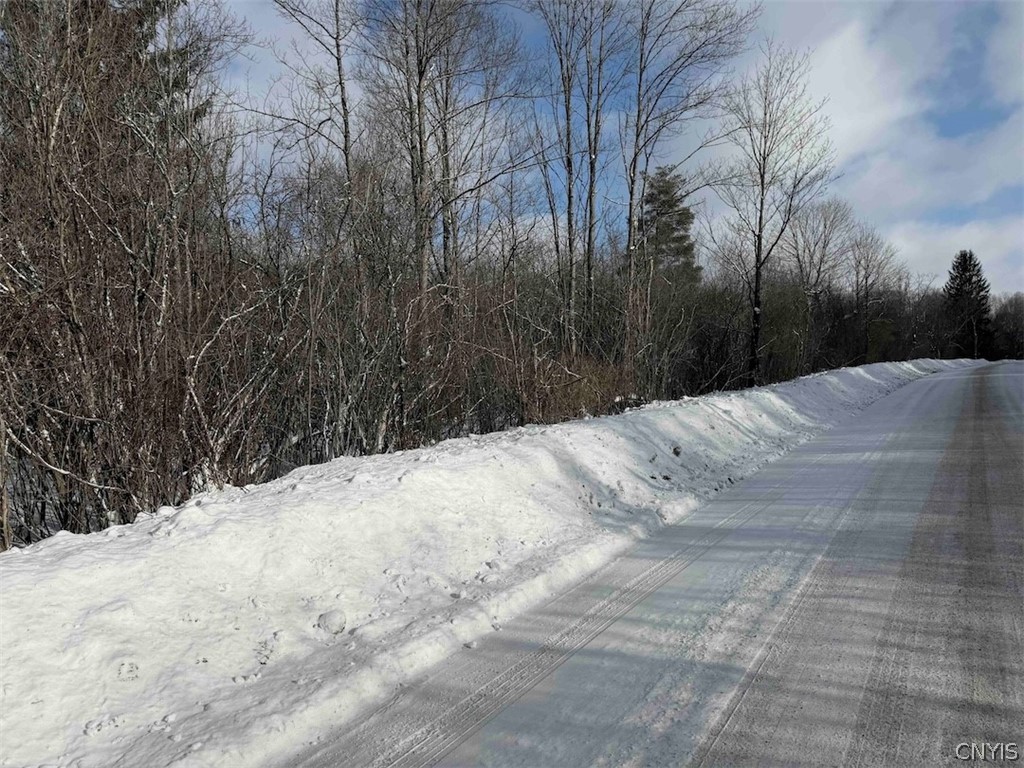 Cemetery Hill Road Franklinville, NY 14737 - Photo 9 of 35