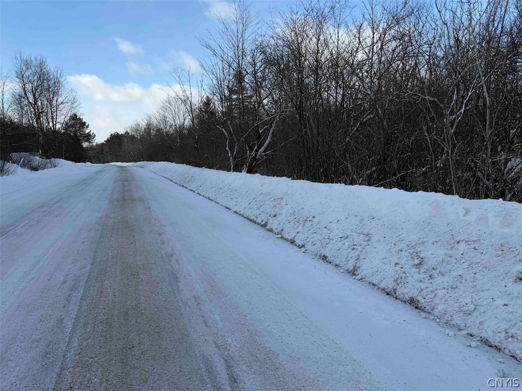 Cemetery Hill Road Franklinville, NY 14737 - Photo 10 of 35