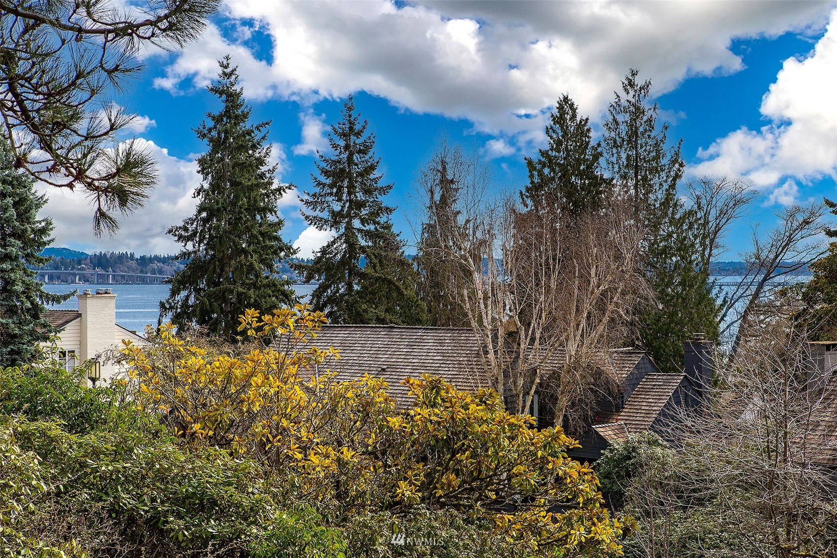 5540 Northeast Windermere Road Seattle, WA 98105 - Photo 34 of 40 a view of a yard with large trees