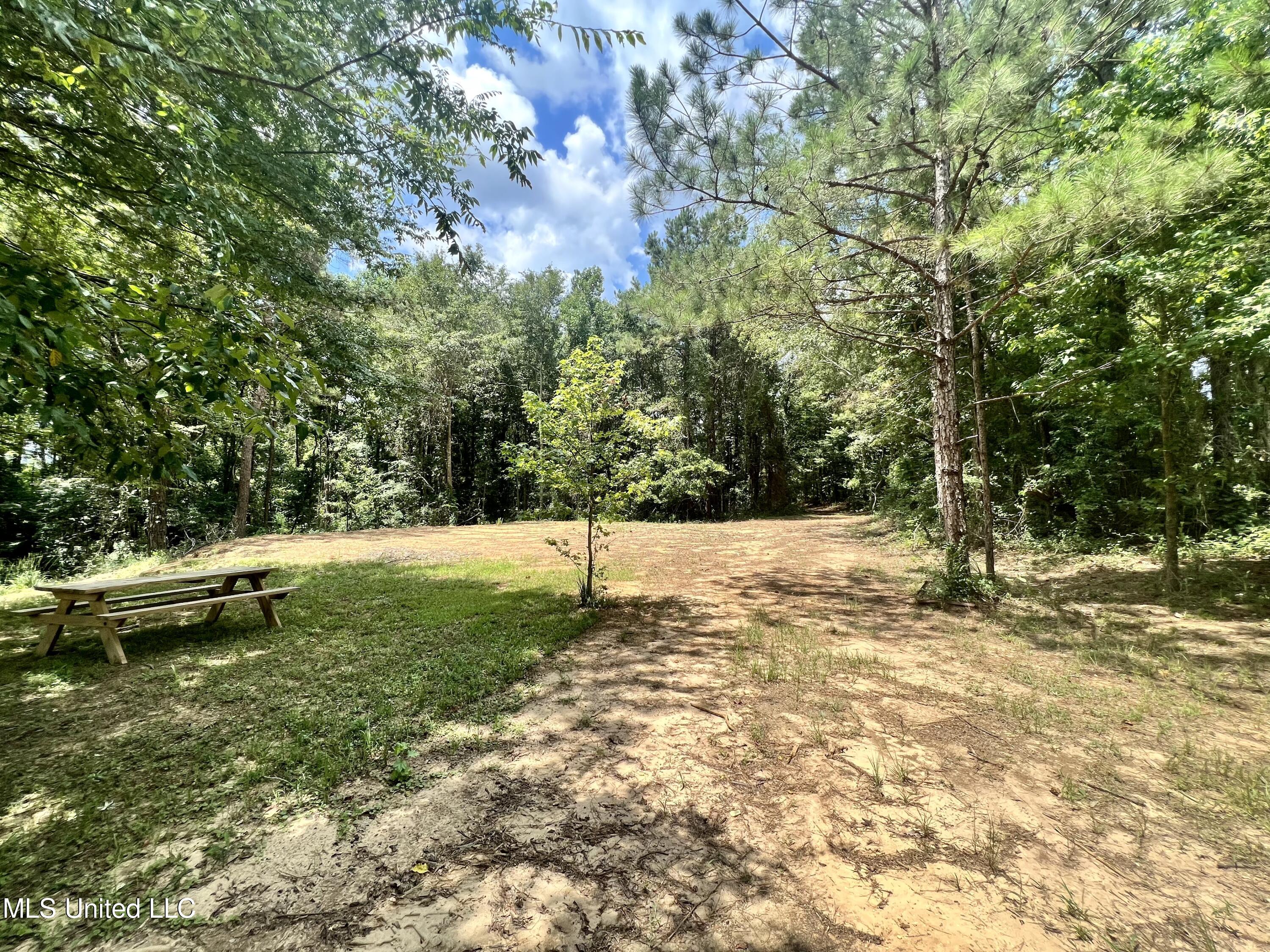 0 Thornton Road Brandon, MS 39042 - Photo 1 of 23 BC37DBF2-98B2-4102-AA7C-666AD7FB83EC_1_2