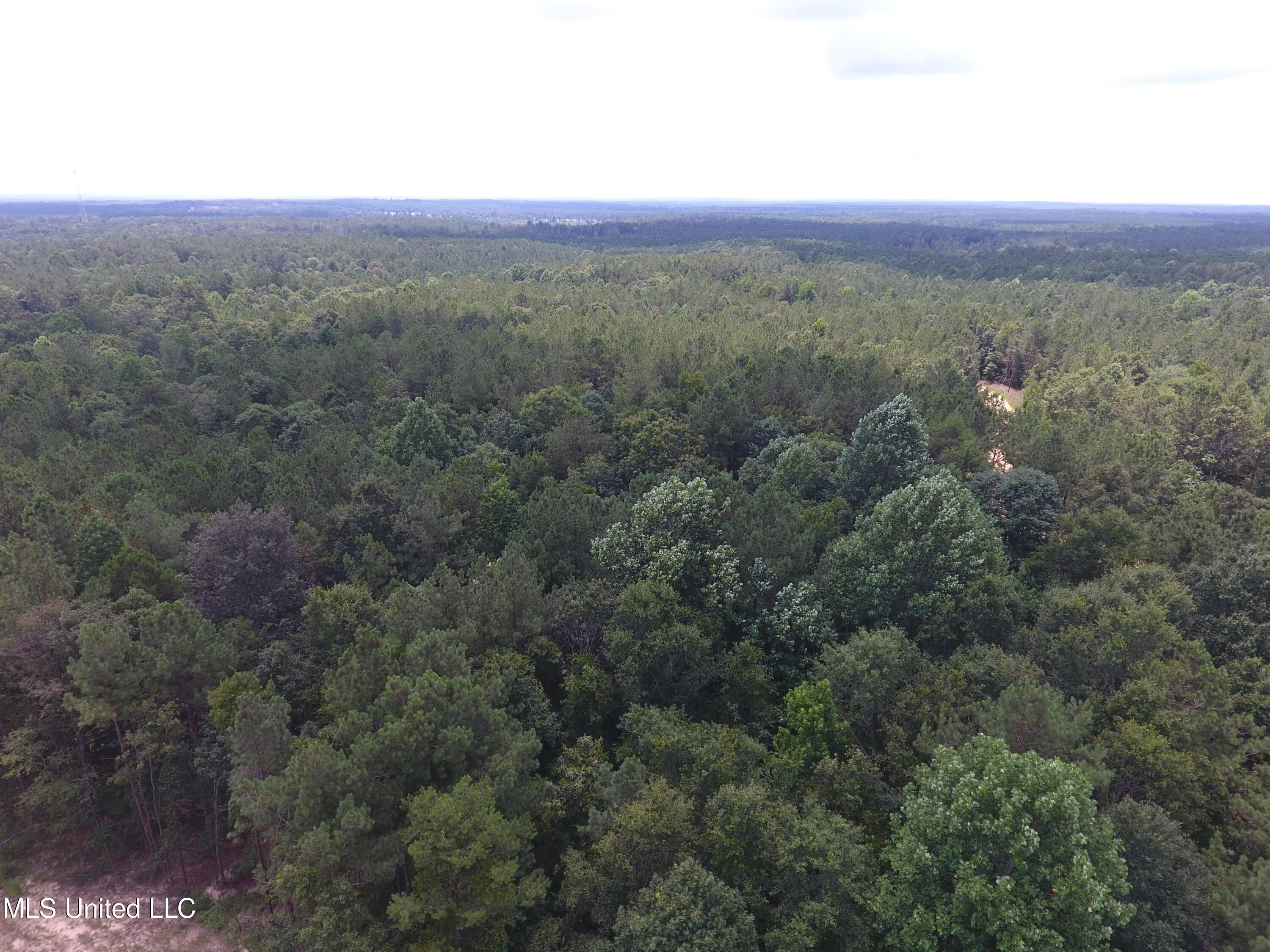 0 Thornton Road Brandon, MS 39042 - Photo 16 of 23 DJI_0008