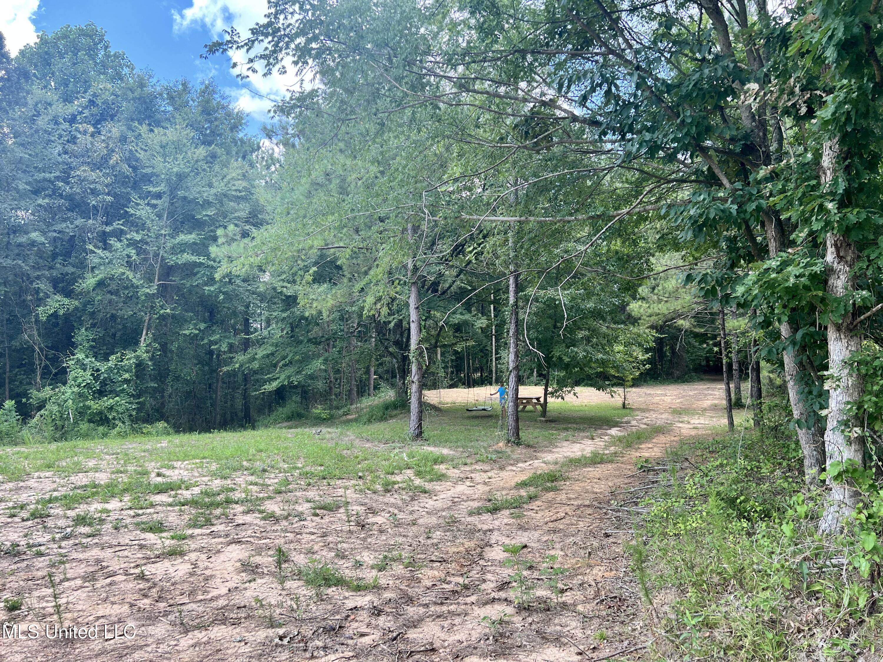 0 Thornton Road Brandon, MS 39042 - Photo 2 of 23 C2DE1F38-B91C-4B40-AA37-B67C3F0DCADA_1_2