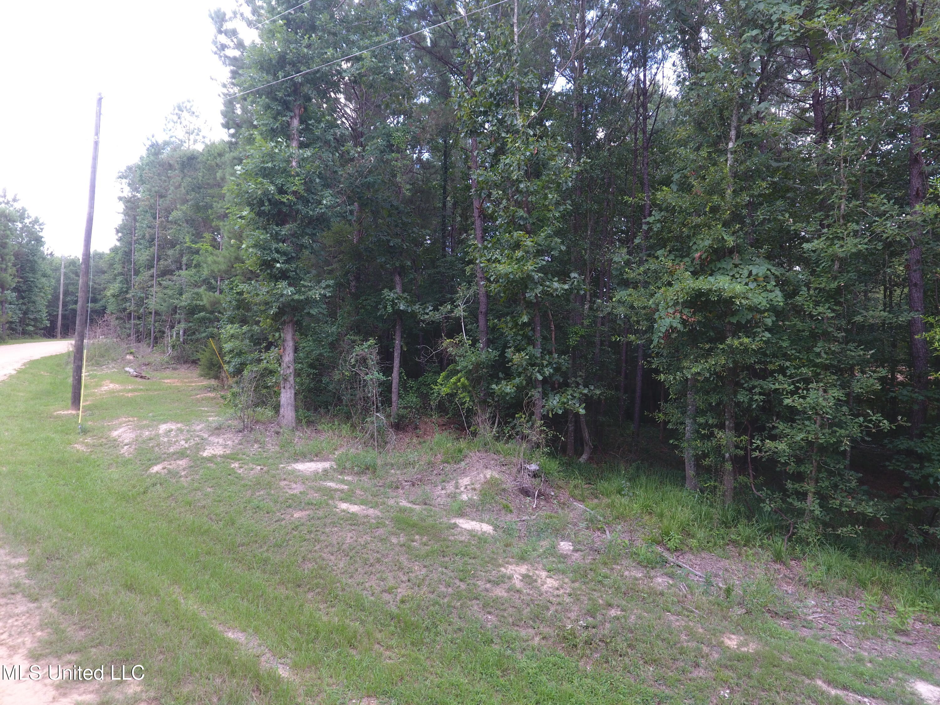 0 Thornton Road Brandon, MS 39042 - Photo 22 of 23 DJI_0015