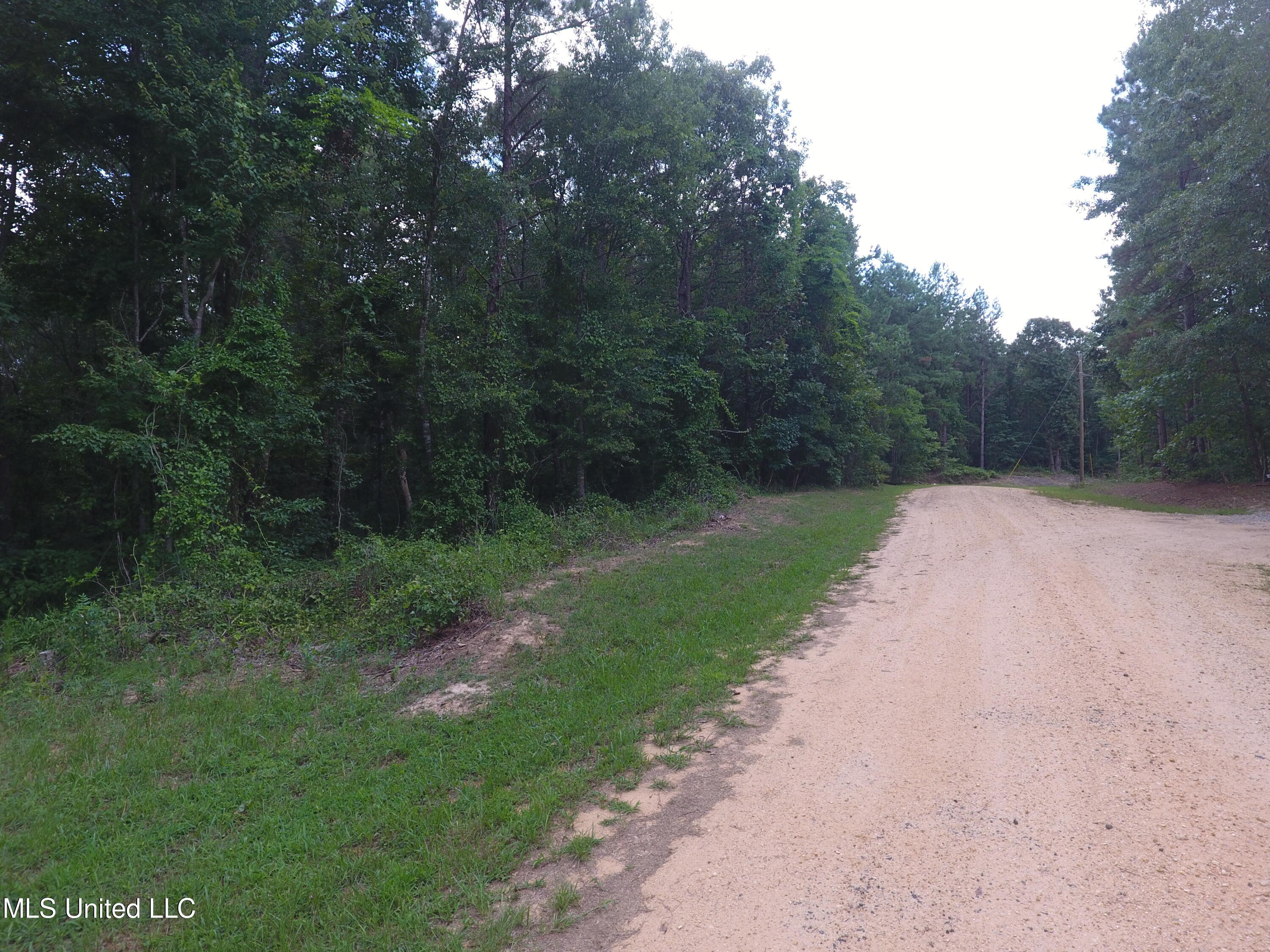 0 Thornton Road Brandon, MS 39042 - Photo 23 of 23 DJI_0016