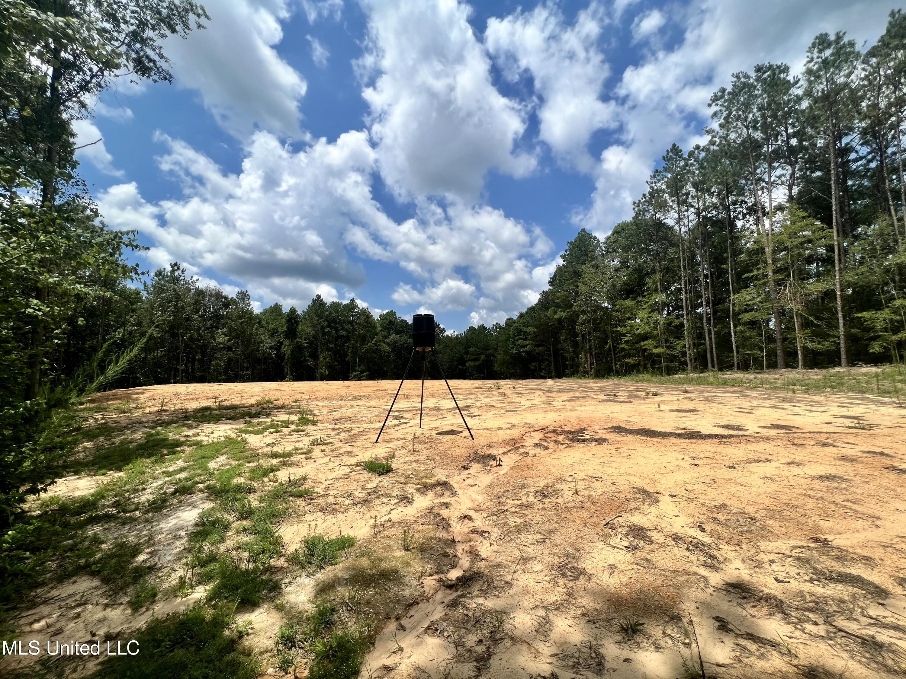 0 Thornton Road Brandon, MS 39042 - Photo 3 of 23 8303E640-5179-4532-AB69-49D15E5B769E_1_2
