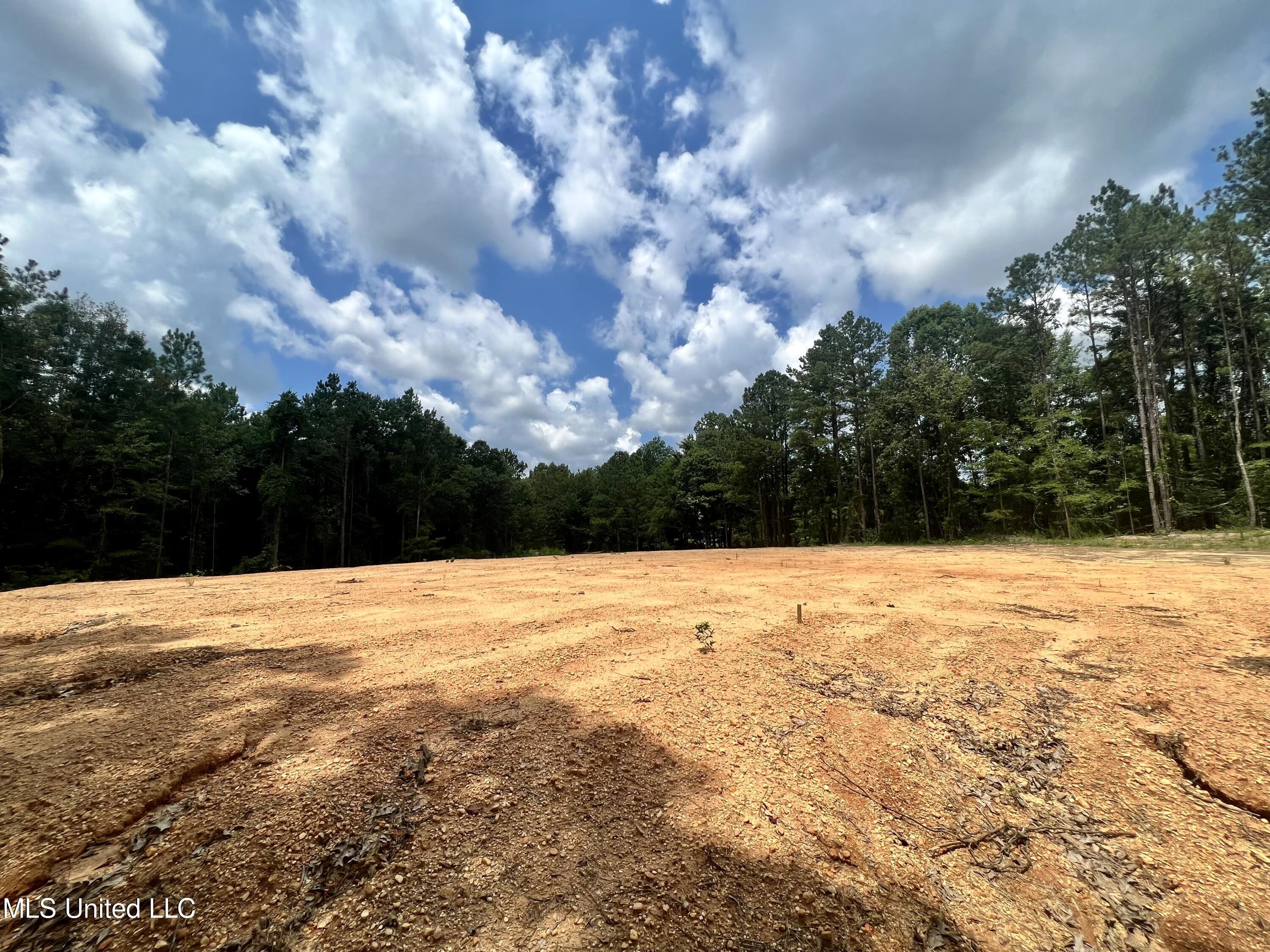 0 Thornton Road Brandon, MS 39042 - Photo 4 of 23 98770B15-6165-4D47-BCF4-C860056BE580_1_2