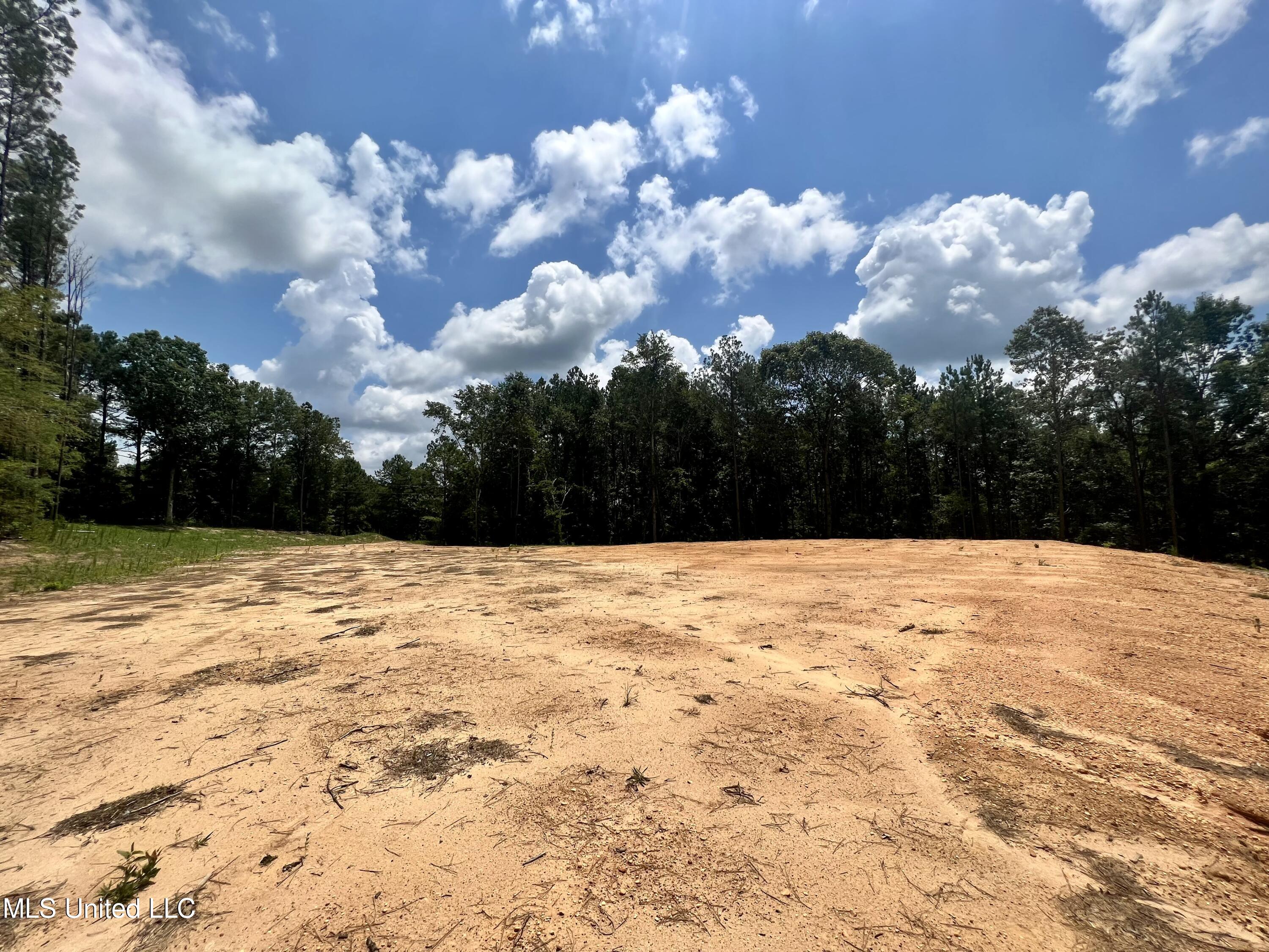 0 Thornton Road Brandon, MS 39042 - Photo 5 of 23 D0E10C1D-42EA-43FA-ADE3-160D17EE9683_1_2