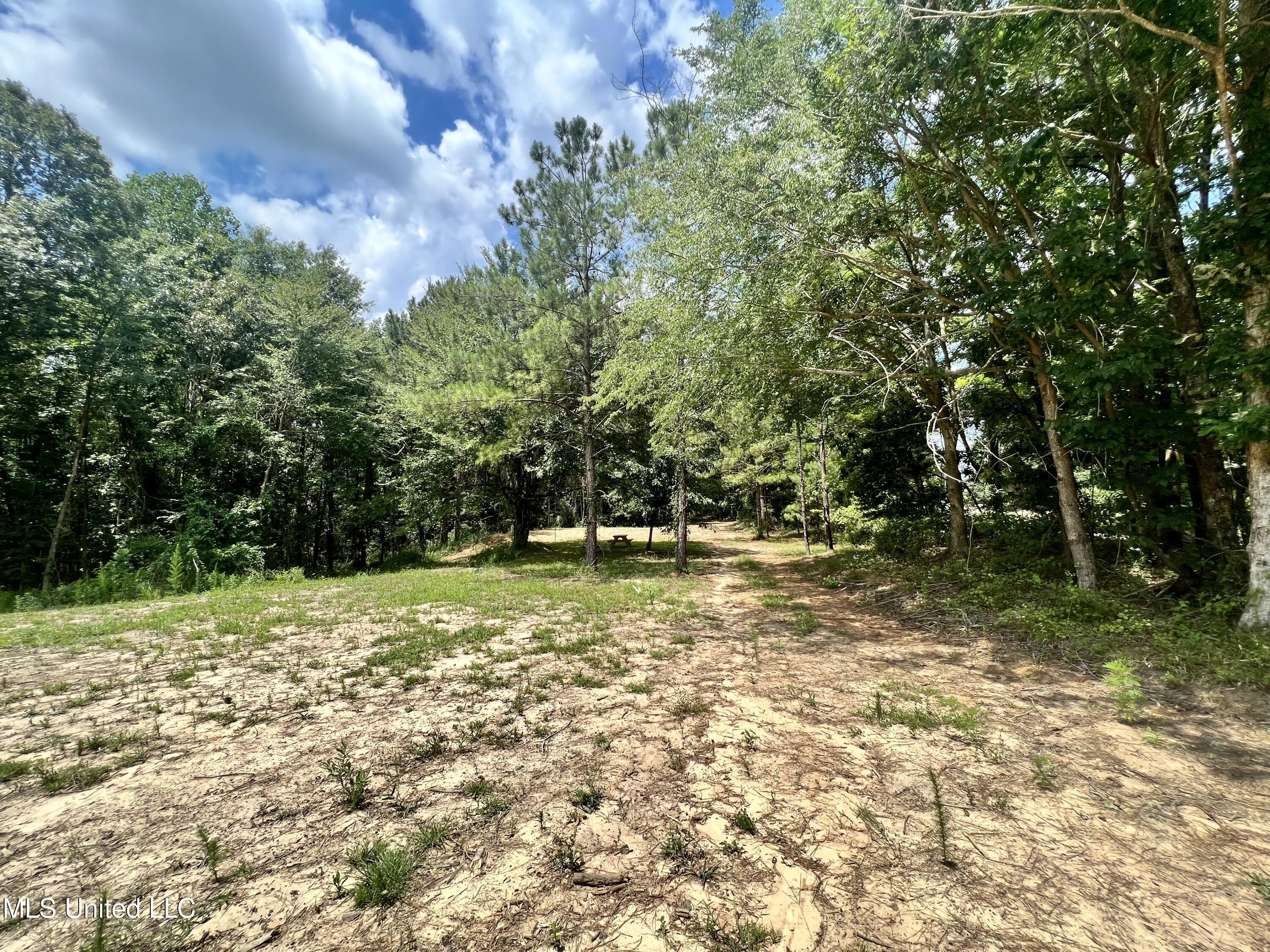 0 Thornton Road Brandon, MS 39042 - Photo 6 of 23 908FBCEB-0764-4586-9E40-8F14009F842C_1_2