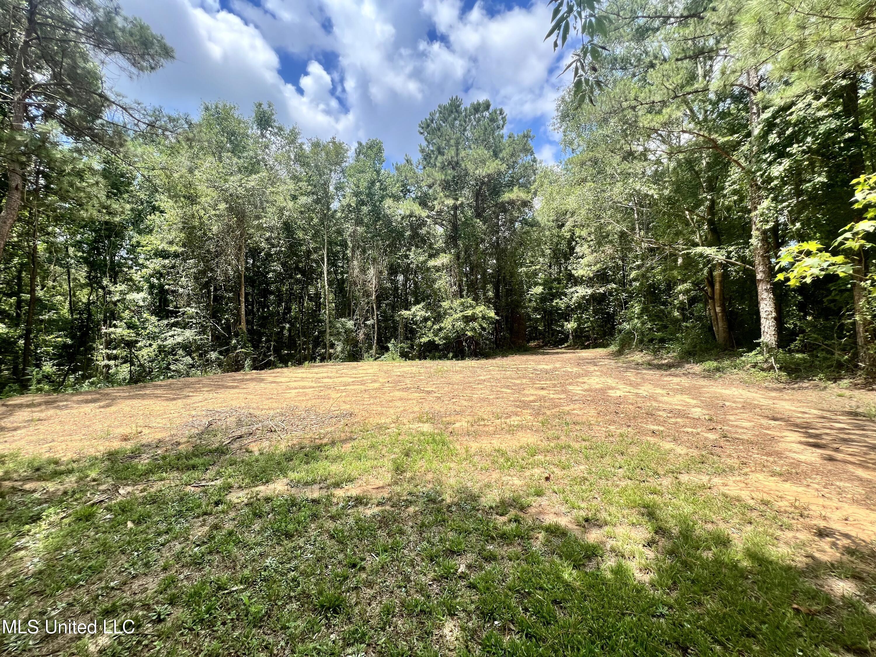 0 Thornton Road Brandon, MS 39042 - Photo 7 of 23 0CE9C8F5-1ADC-4B41-B961-316813349084_1_2