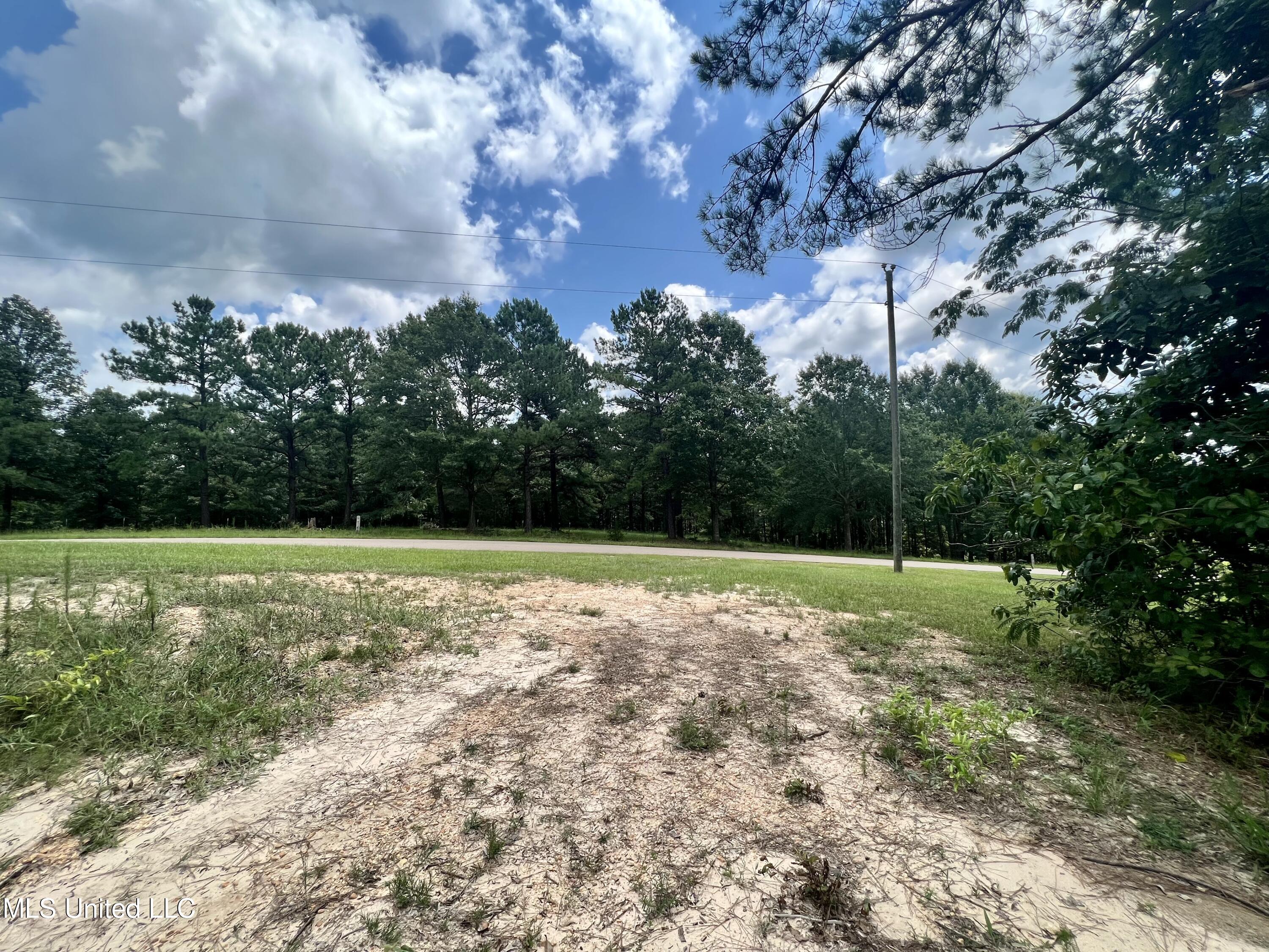 0 Thornton Road Brandon, MS 39042 - Photo 8 of 23 9F290491-6D75-4131-84F8-4A1A1600F8E3_1_2