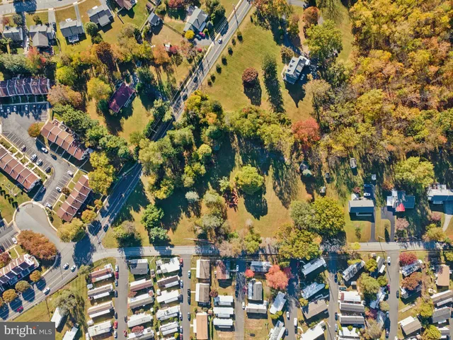 a view of a multi story tree