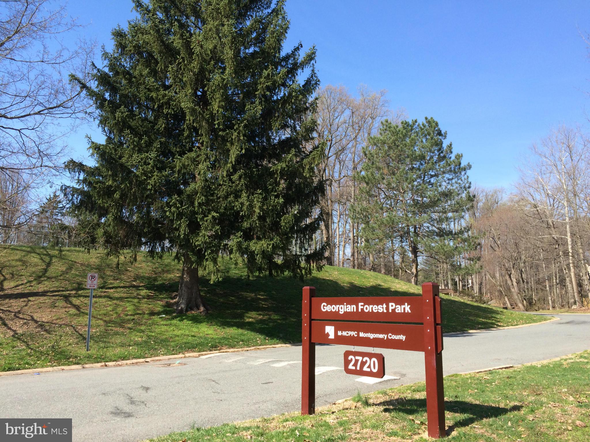 2609 Woodedge Road Silver Spring, MD 20906 - Photo 27 of 30 GEORGIAN FOREST PARK LESS THAN 1/2 MILE!