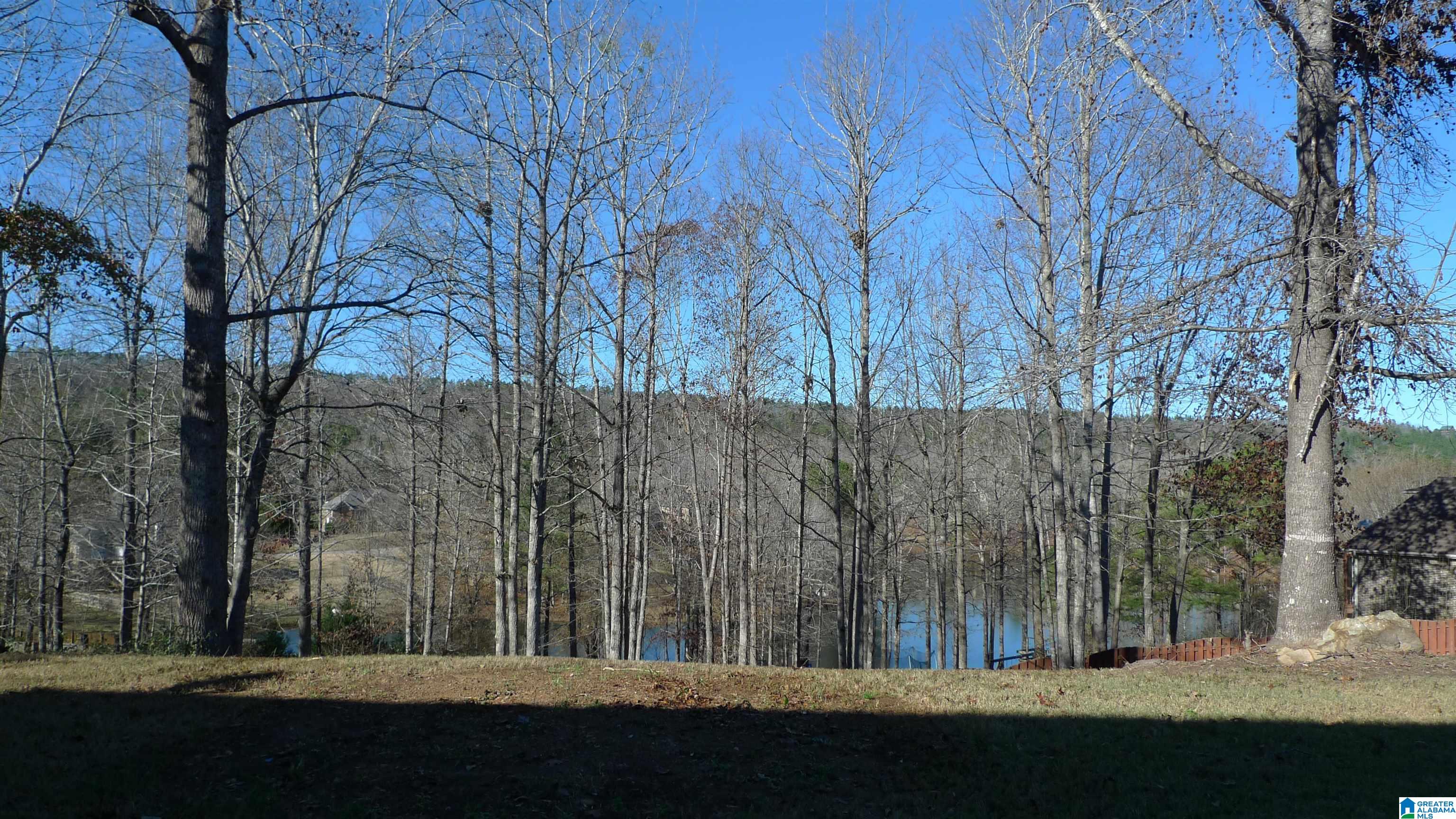 310 Deer Ridge Lane Chelsea, AL 35043 - Photo 34 of 35