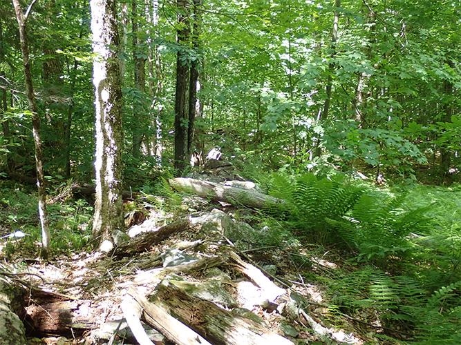 1 Massey Road Springfield, VT 05156 - Photo 11 of 16