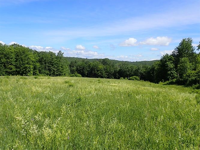 1 Massey Road Springfield, VT 05156 - Photo 2 of 16