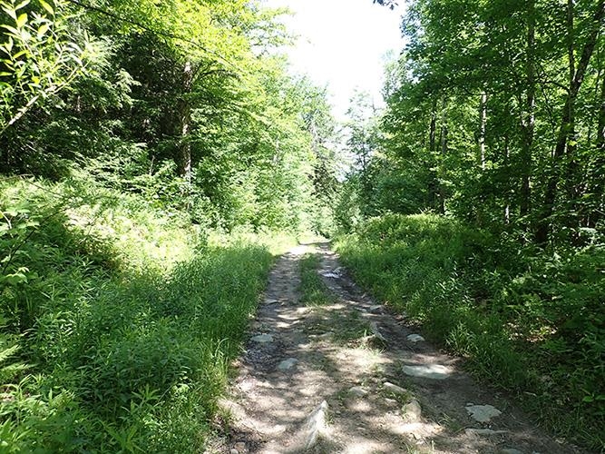 1 Massey Road Springfield, VT 05156 - Photo 5 of 16