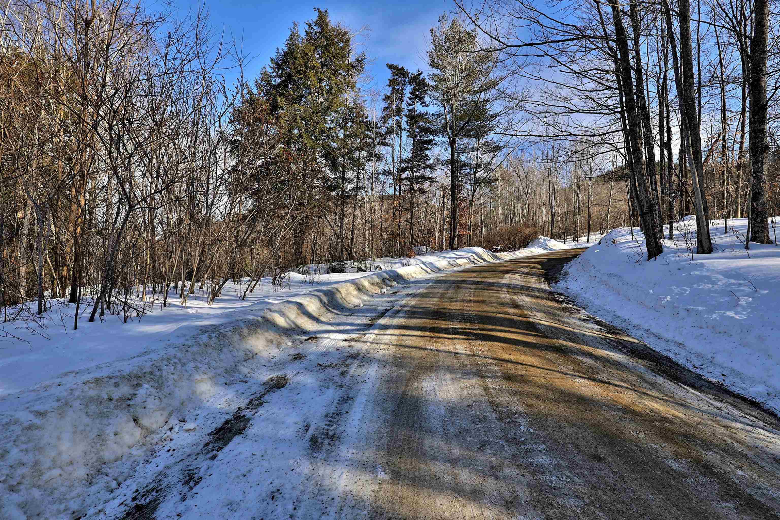 Lot 3 Mount Hunger Road Stockbridge, VT 05772 - Photo 2 of 15