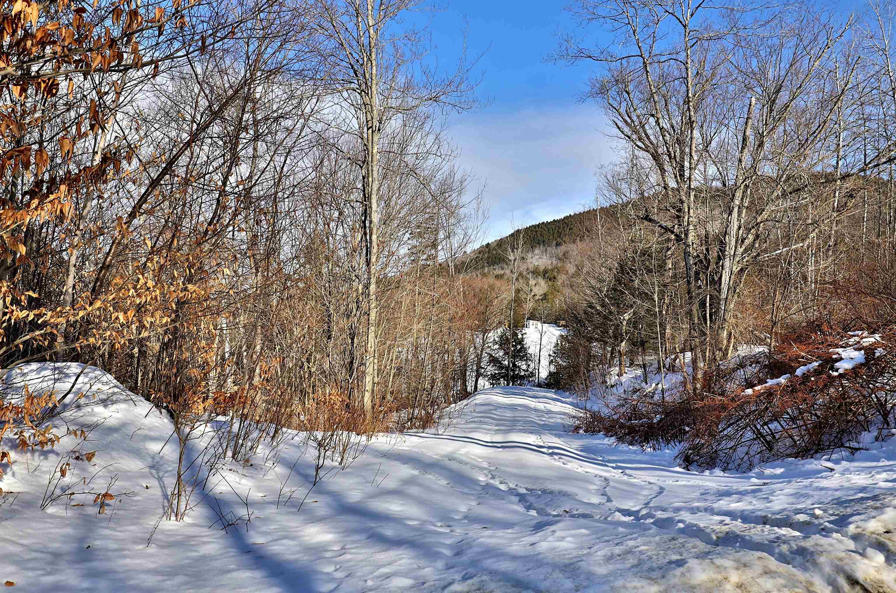 Lot 3 Mount Hunger Road Stockbridge, VT 05772 - Photo 5 of 15