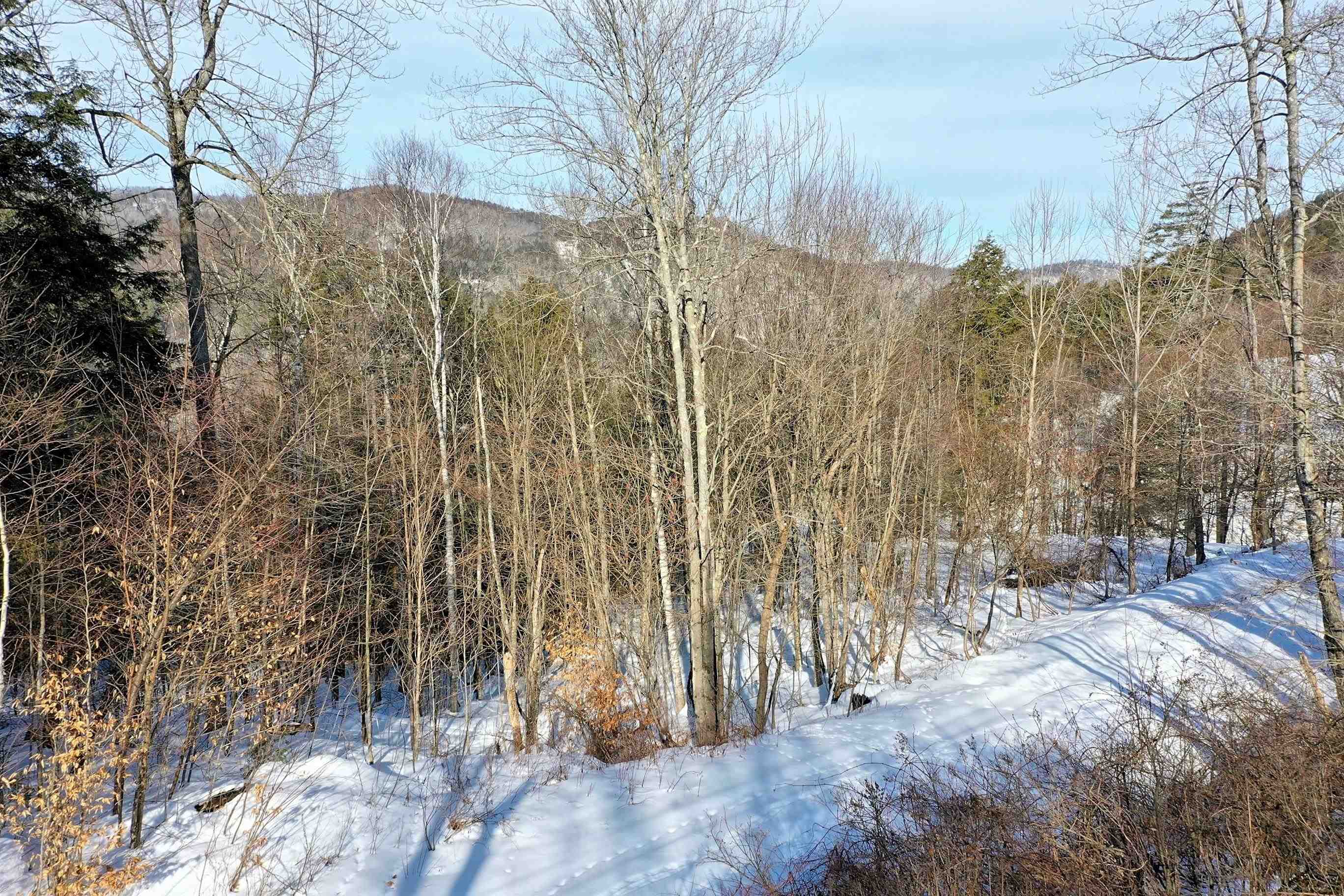 Lot 3 Mount Hunger Road Stockbridge, VT 05772 - Photo 7 of 15