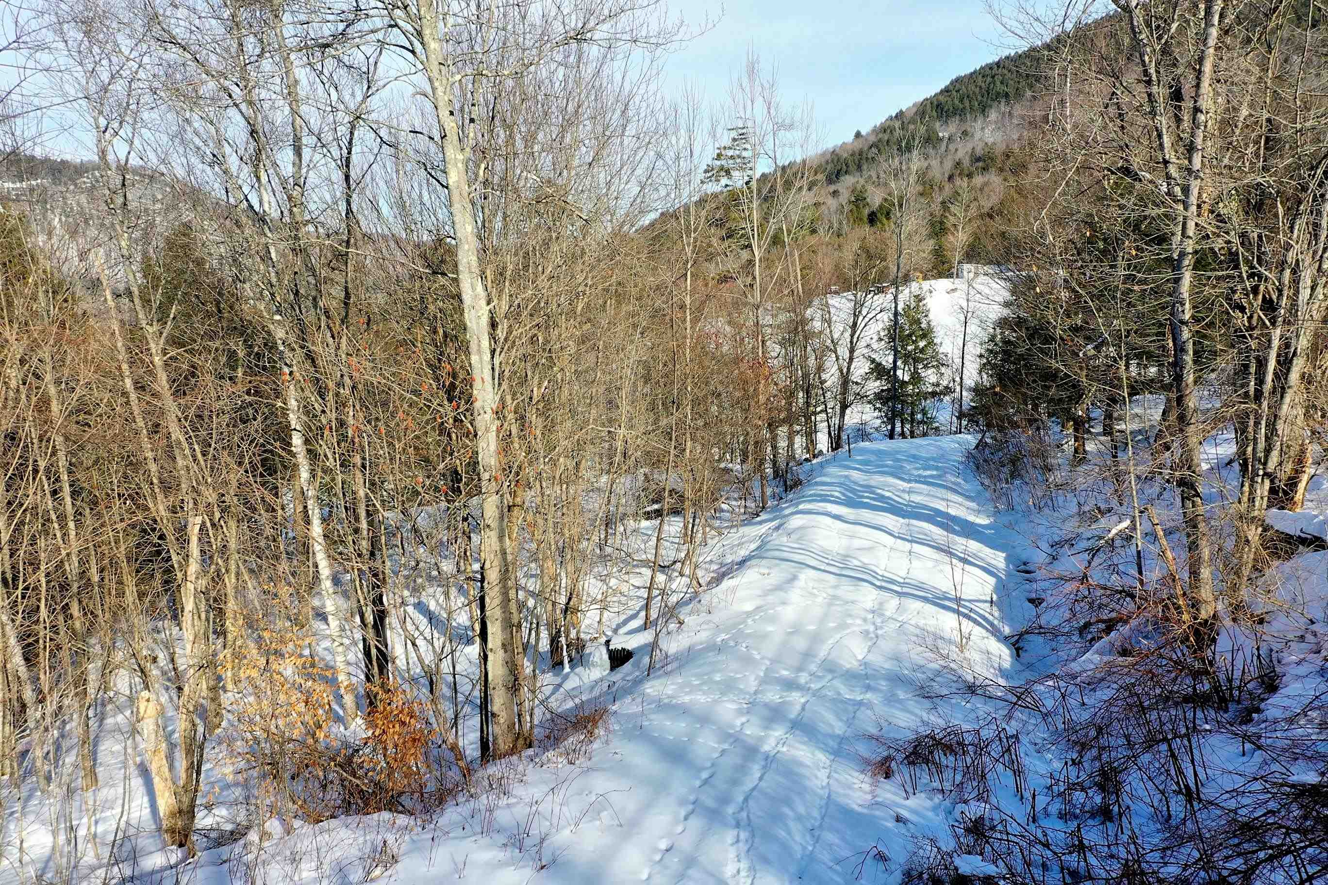 Lot 3 Mount Hunger Road Stockbridge, VT 05772 - Photo 8 of 15