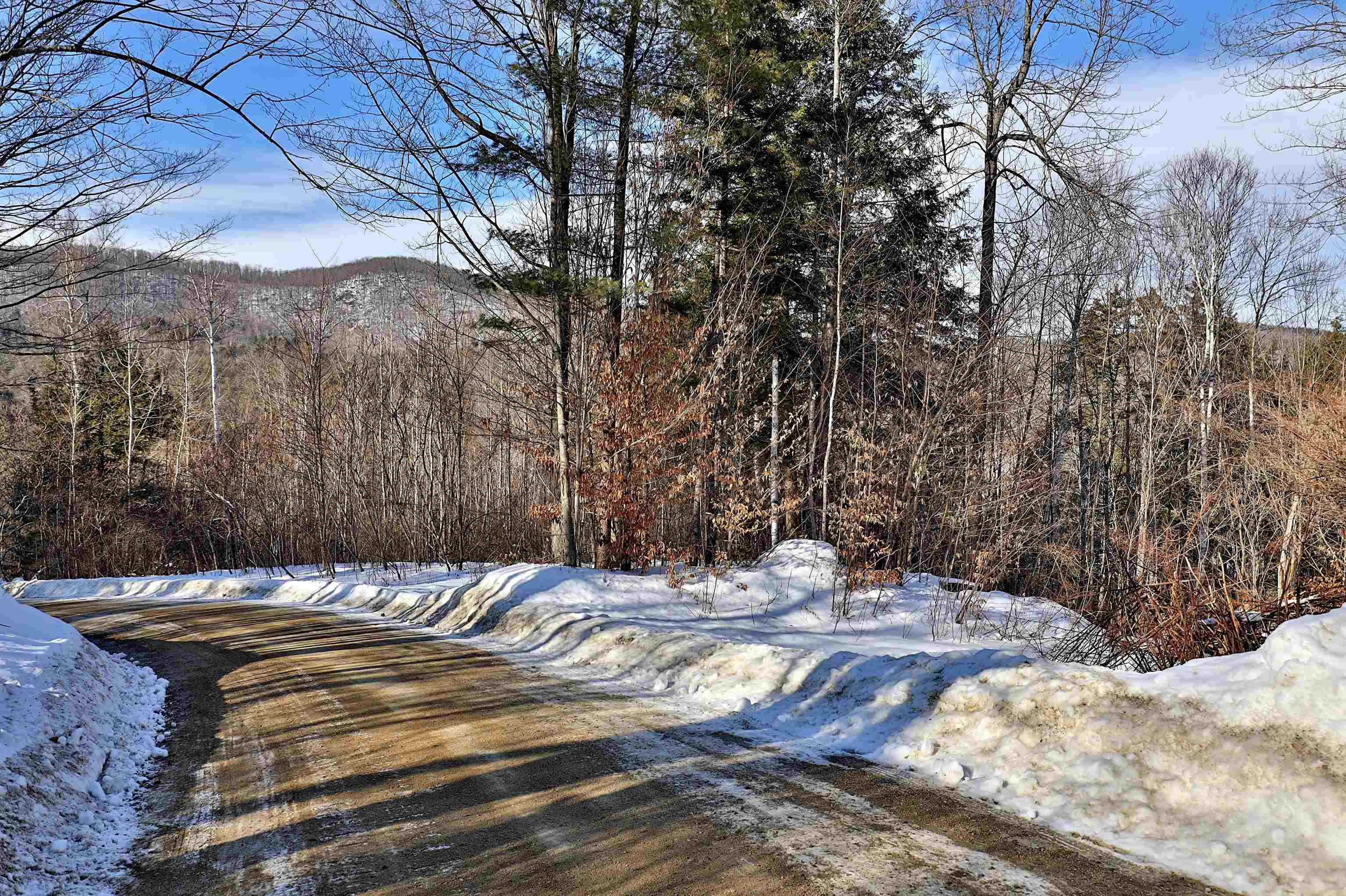 Lot 3 Mount Hunger Road Stockbridge, VT 05772 - Photo 9 of 15