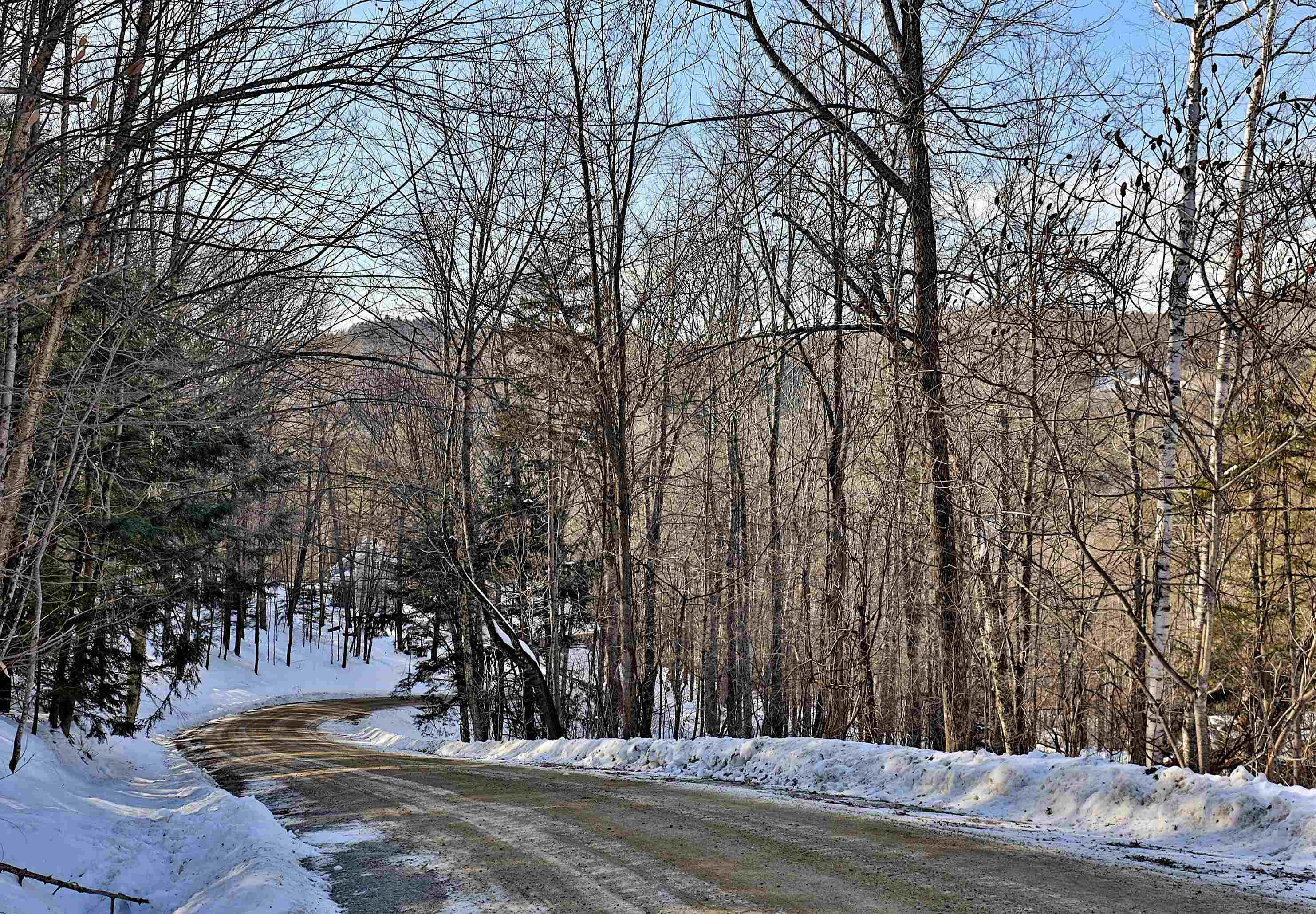 Lot 3 Mount Hunger Road Stockbridge, VT 05772 - Photo 10 of 15