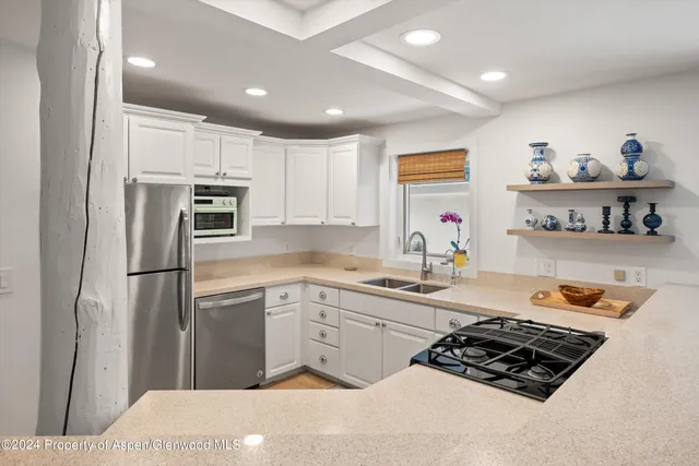 $12,000 | 950 East Durant Avenue, Unit 6, Aspen, CO 81611