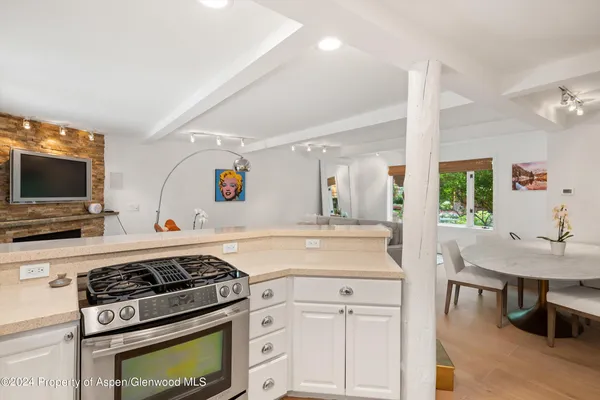 $15,000 | 950 East Durant Avenue, Unit 6, Aspen, CO 81611