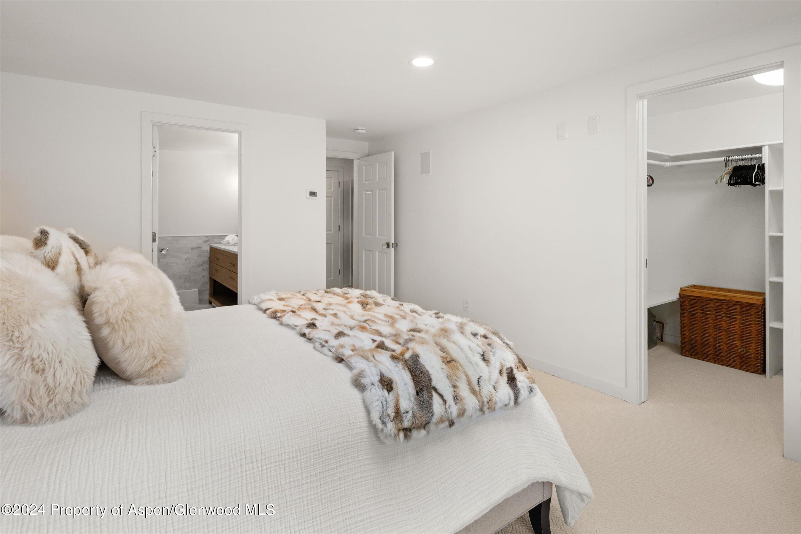 950 East Durant Avenue, Unit 6 Aspen, CO 81611 - Photo 16 of 27 38-960eDurant_24082036