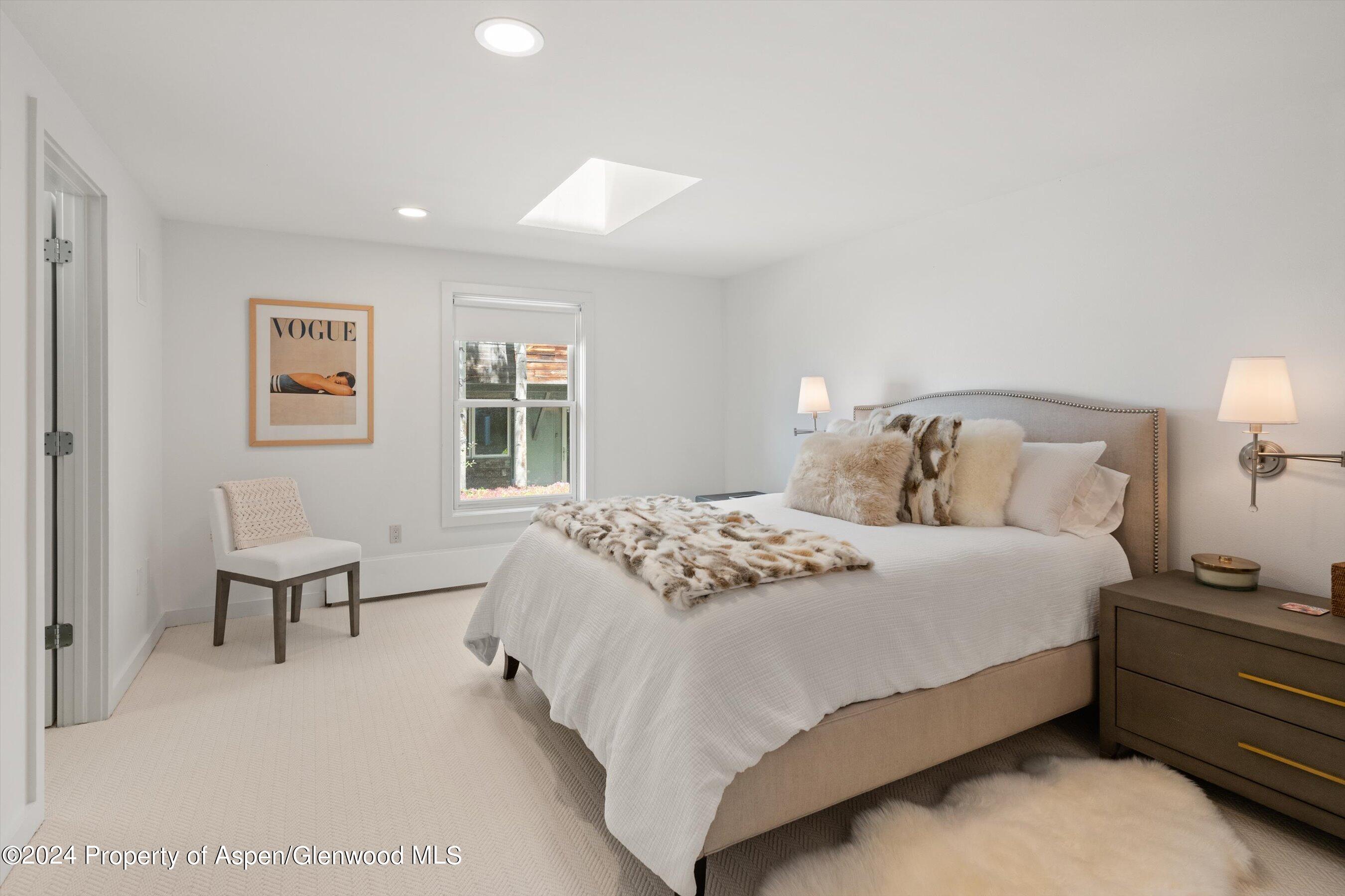 950 East Durant Avenue, Unit 6 Aspen, CO 81611 - Photo 17 of 27 36-960eDurant_24082034