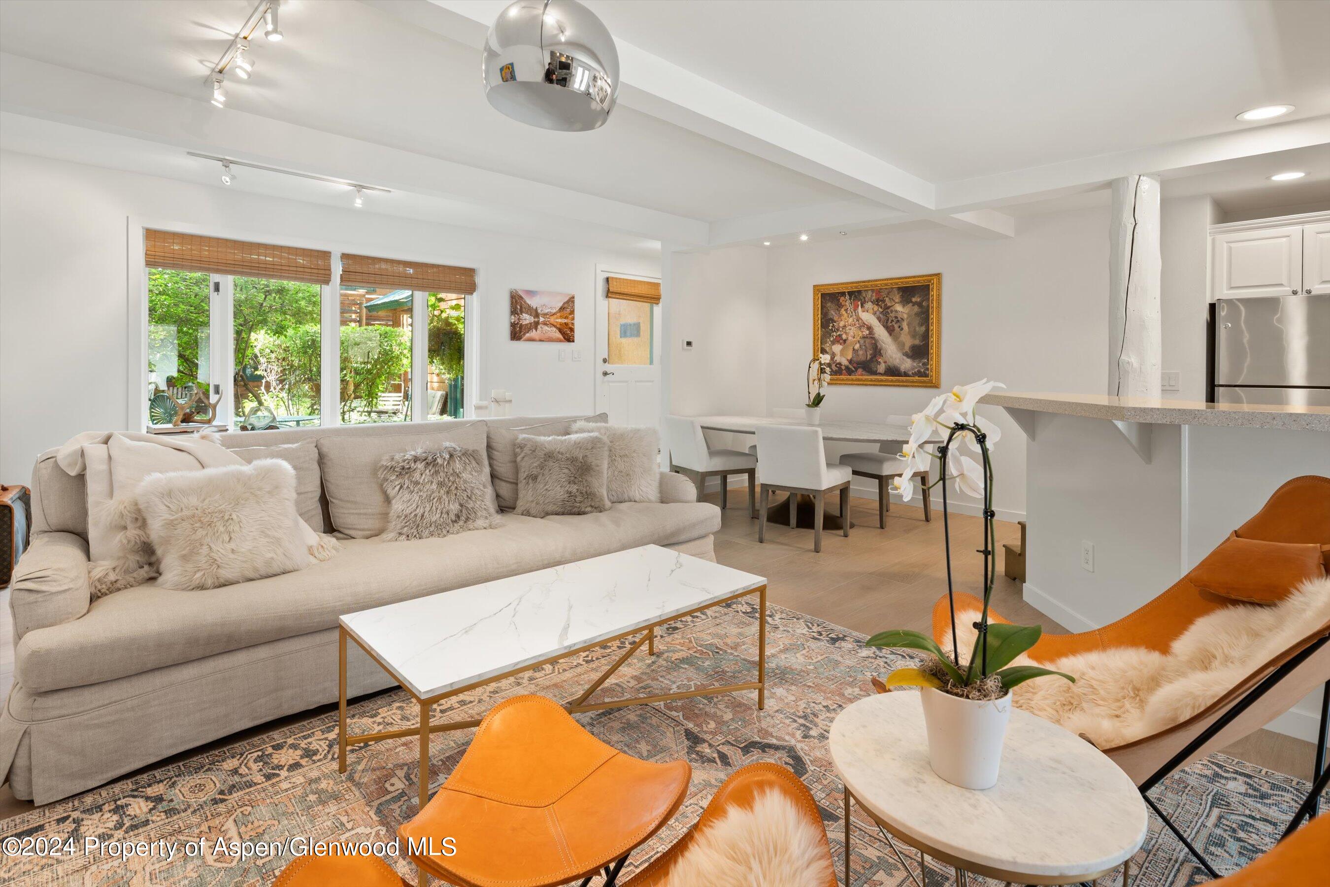 950 East Durant Avenue, Unit 6 Aspen, CO 81611 - Photo 7 of 27 18-960eDurant_24082013