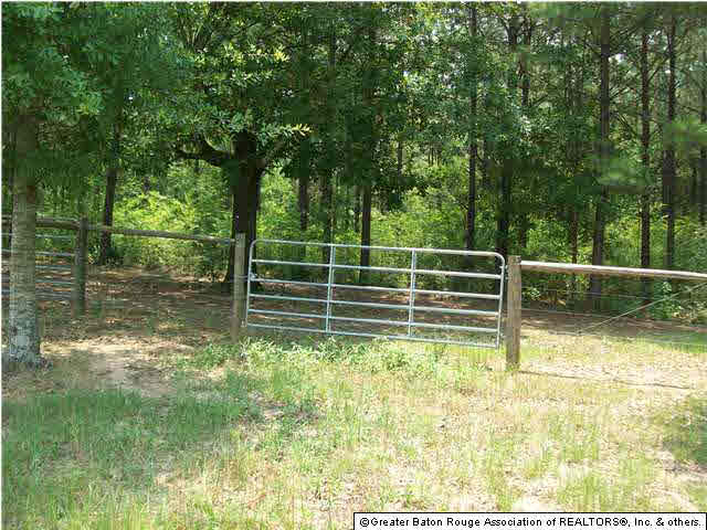 1519 P P Wilson Road Osyka, MS 39657 - Photo 8 of 23 Gallery Image 8