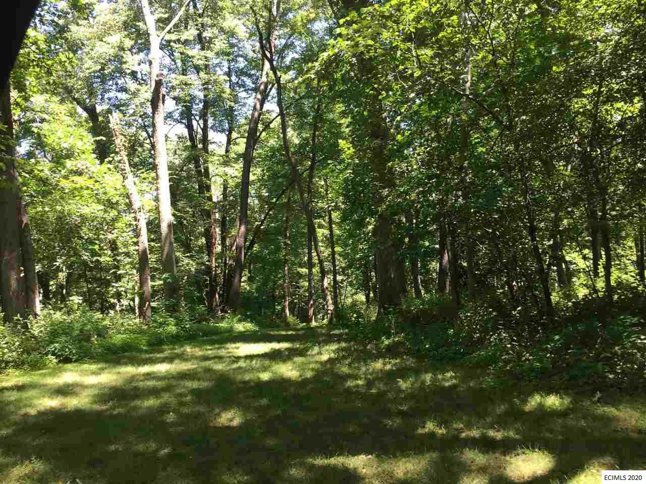 0 Monastery Road Peosta, IA 52068 - Photo 4 of 14 Gallery Image 4
