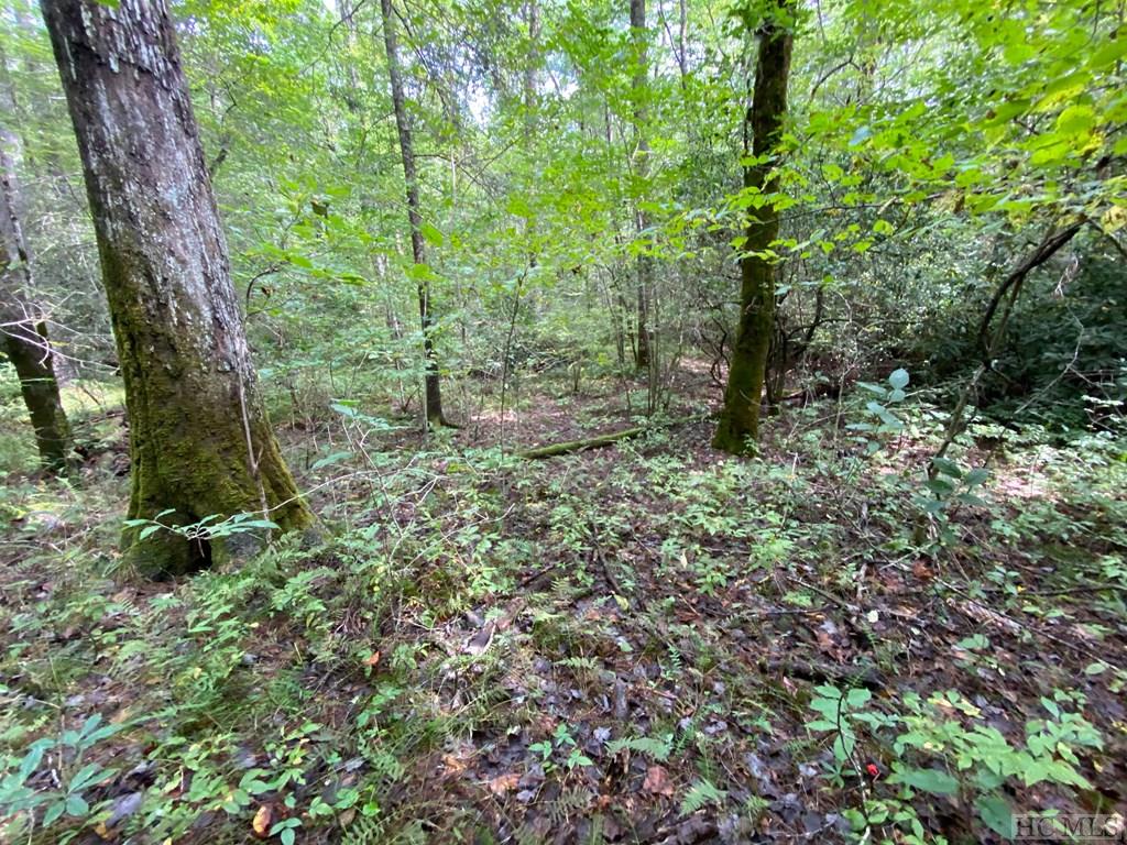 999 Lost Cove Road Clyde, NC 28721 - Photo 18 of 20 Gallery Image 18