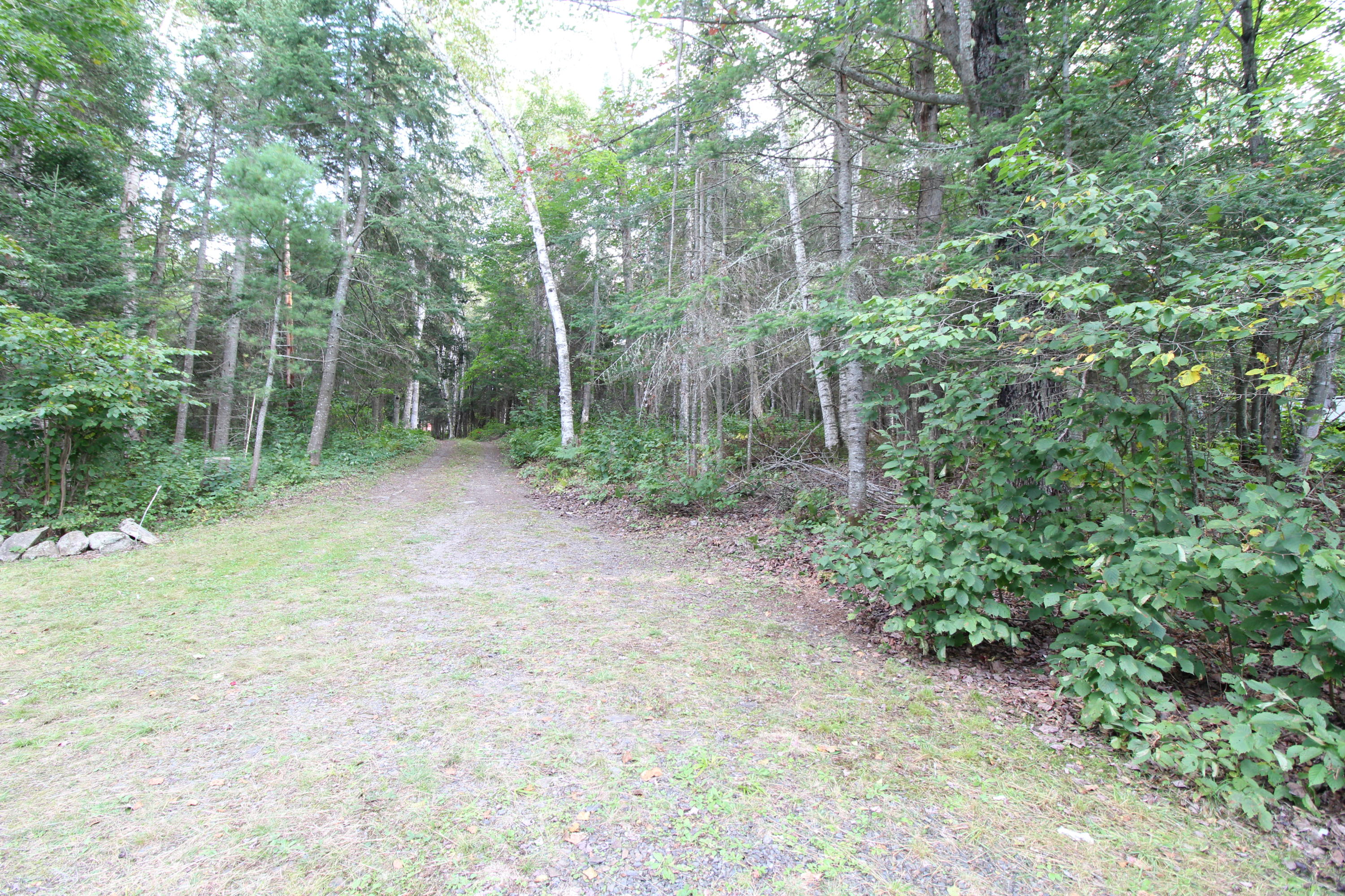 39 Hartland Road Rangeley, ME 04970 - Photo 28 of 28 IMG_2232
