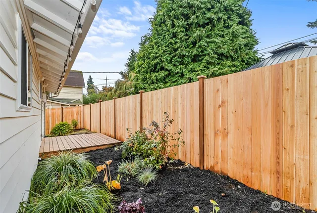 a view of a backyard with plants