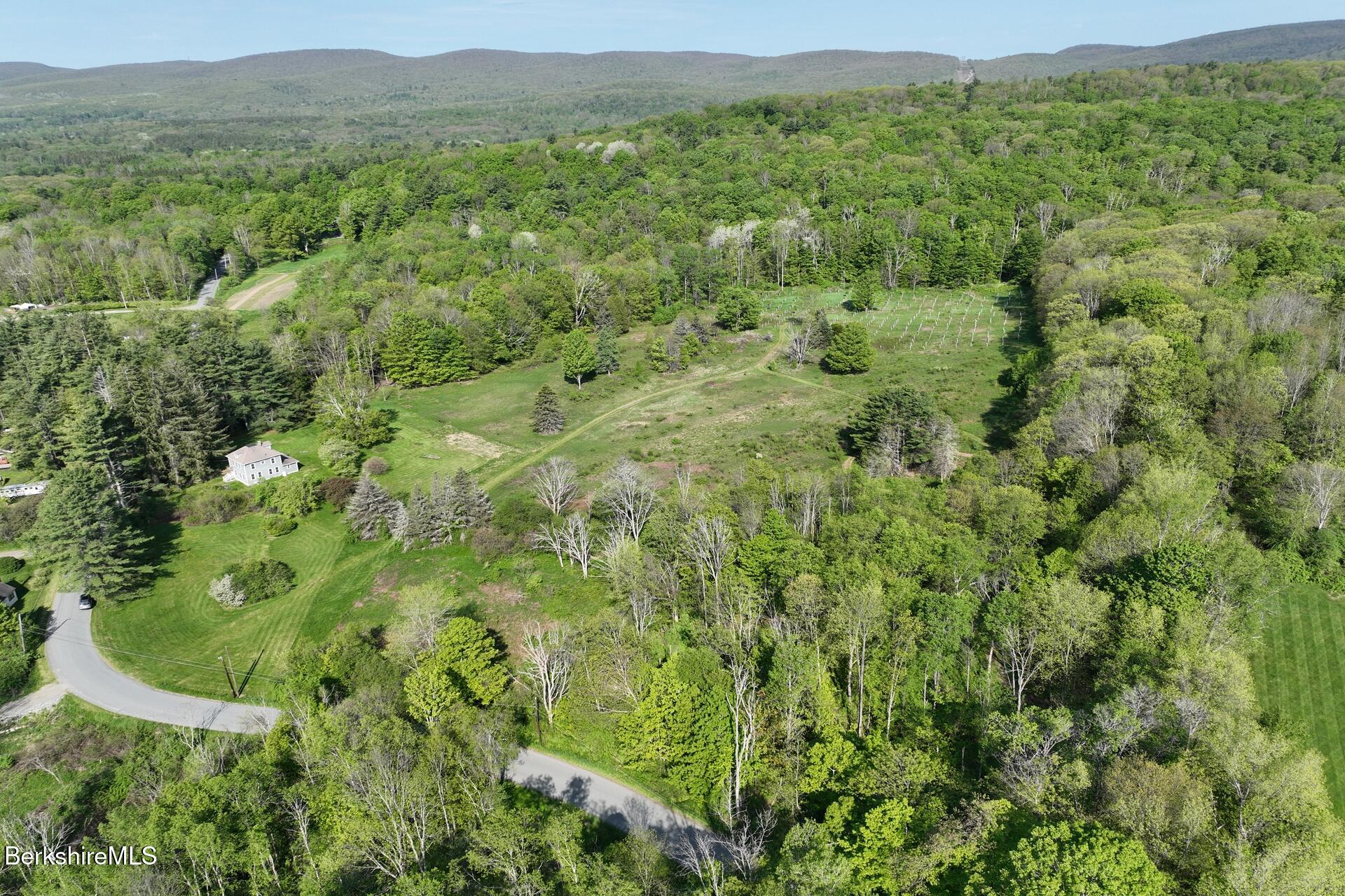 80 Miner Road Lanesborough, MA 01237 - Photo 4 of 10 a view of a lush green forest with trees and some houses