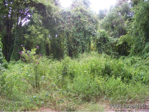 0 Pringle Road Port Orange, FL 32127 - Photo 1 of 1 Primary Photo