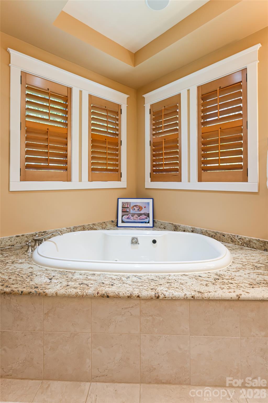 256 Senator Reynolds Road Asheville, NC 28804 - Photo 21 of 48