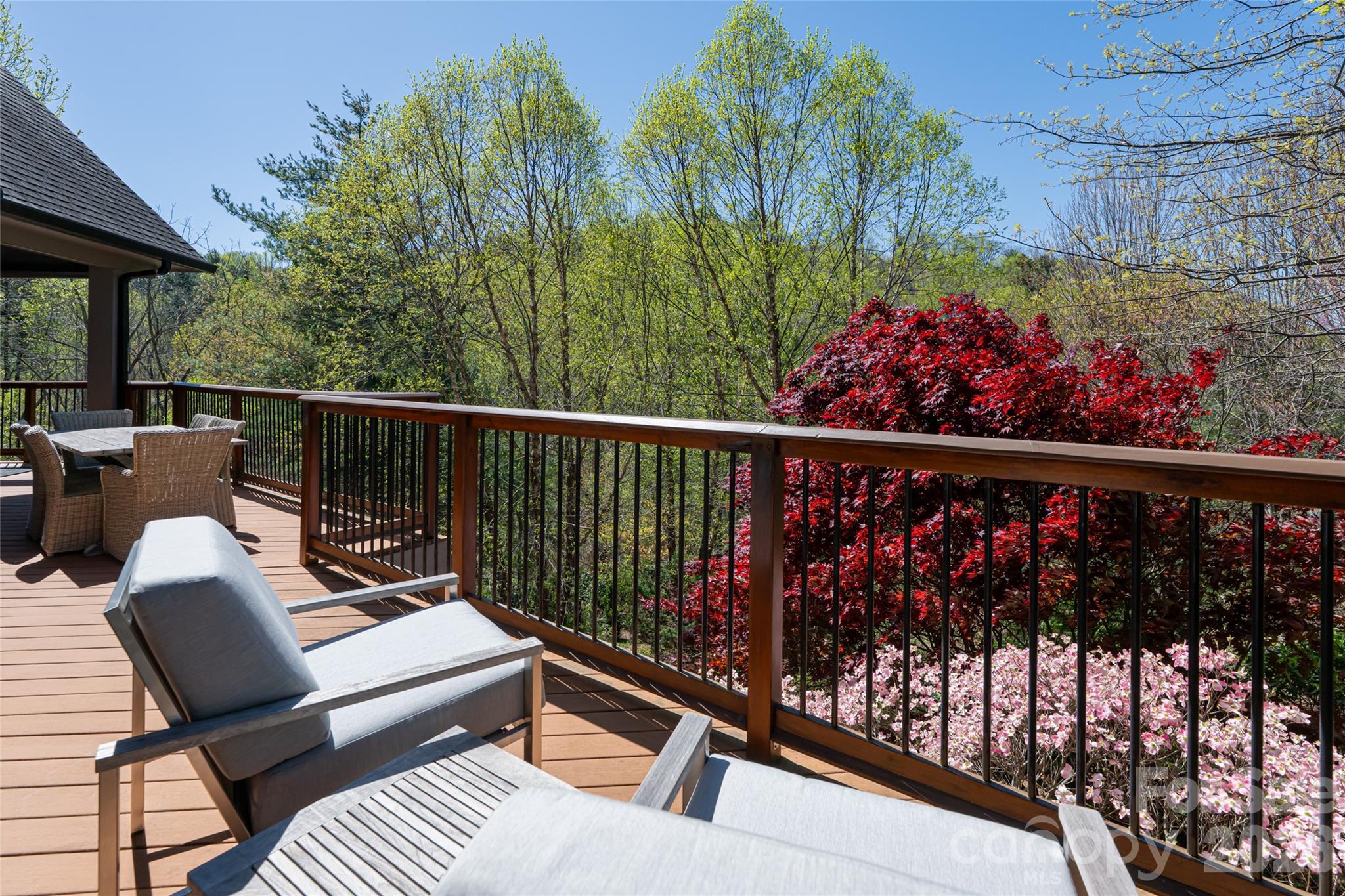 256 Senator Reynolds Road Asheville, NC 28804 - Photo 36 of 48