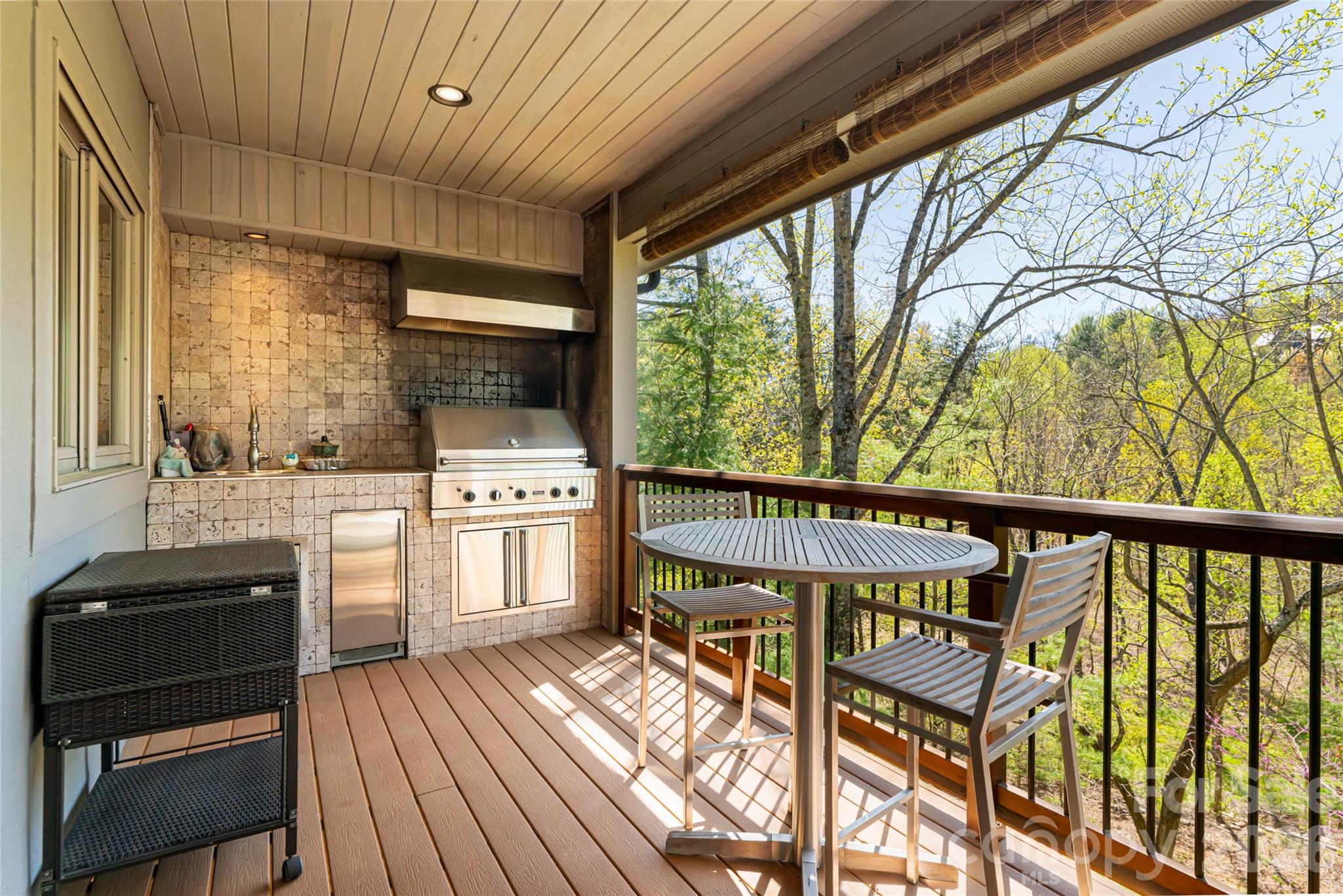 256 Senator Reynolds Road Asheville, NC 28804 - Photo 37 of 48