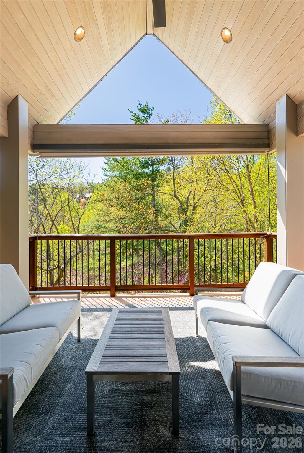 256 Senator Reynolds Road Asheville, NC 28804 - Photo 39 of 48