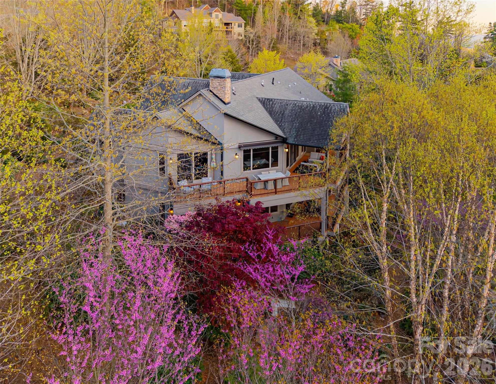 256 Senator Reynolds Road Asheville, NC 28804 - Photo 4 of 48