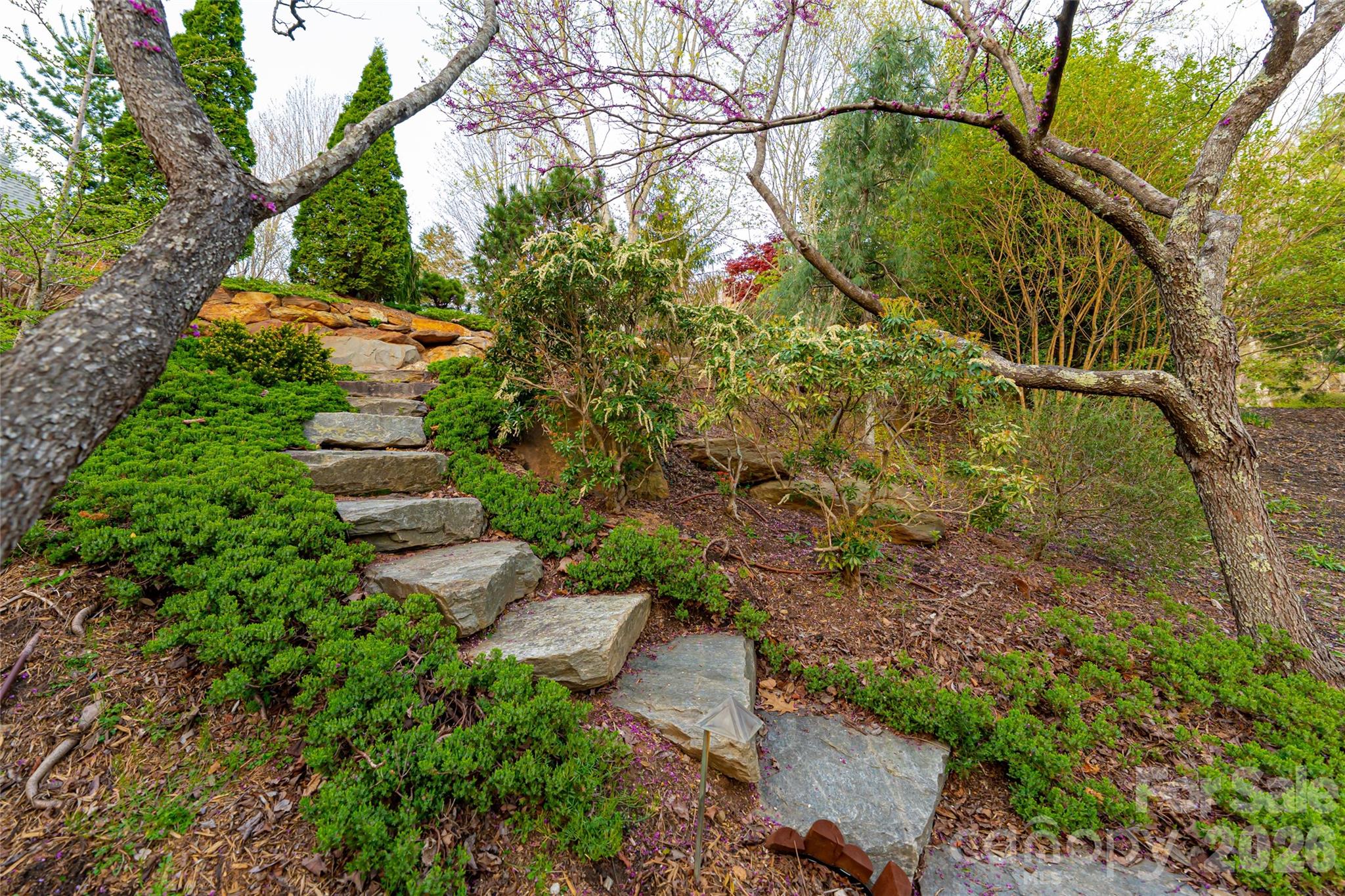 256 Senator Reynolds Road Asheville, NC 28804 - Photo 41 of 48