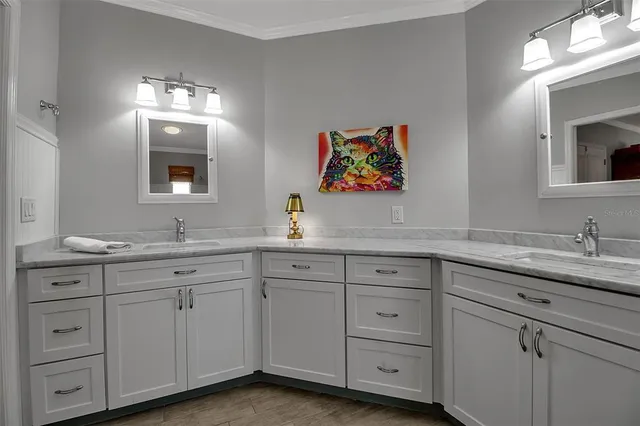 a view of a tennis ground with large trees in front of it