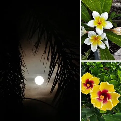 $425,000 | 10315 Cortez Road West, Unit 20J, Bradenton, FL 34210