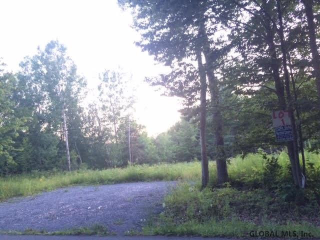 1 Turnbull Road Delanson, NY 12053 - Photo 1 of 1 Photo 1