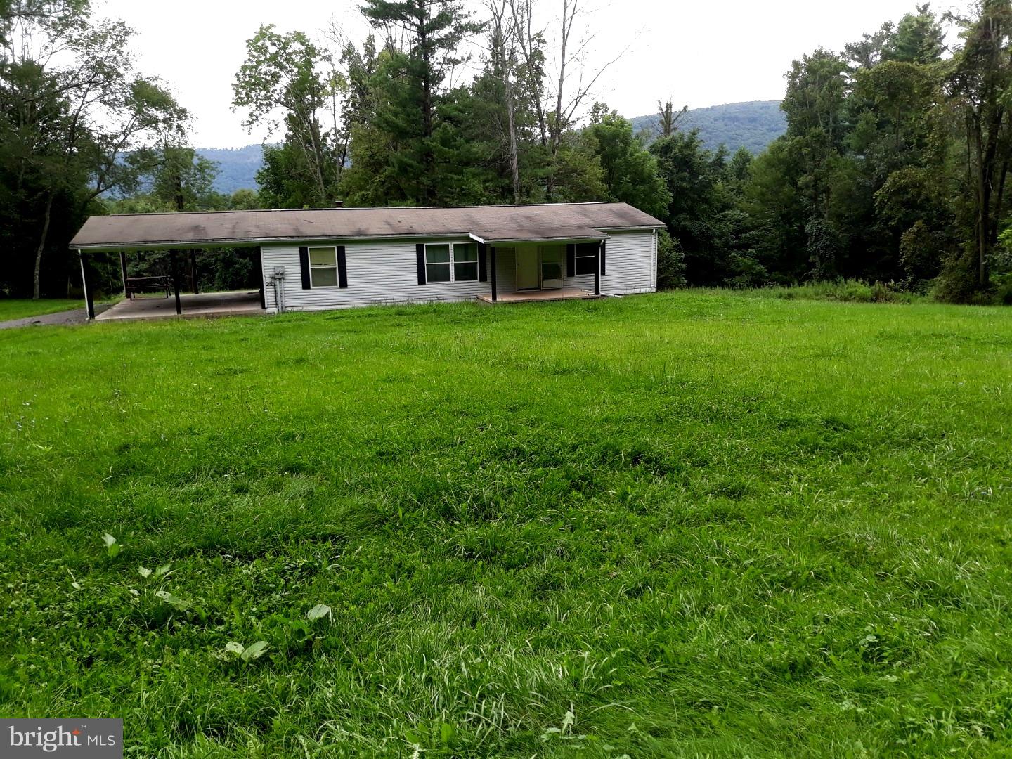 45 Dell Road Hegins, PA 17938 - Photo 1 of 15 Front Yard